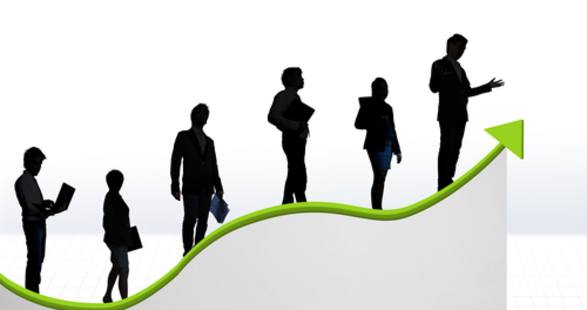 GELİR UZMANININ ŞEFE BAĞLI ÇALIŞMAMASI, SORUNU ÇÖZER Mİ?